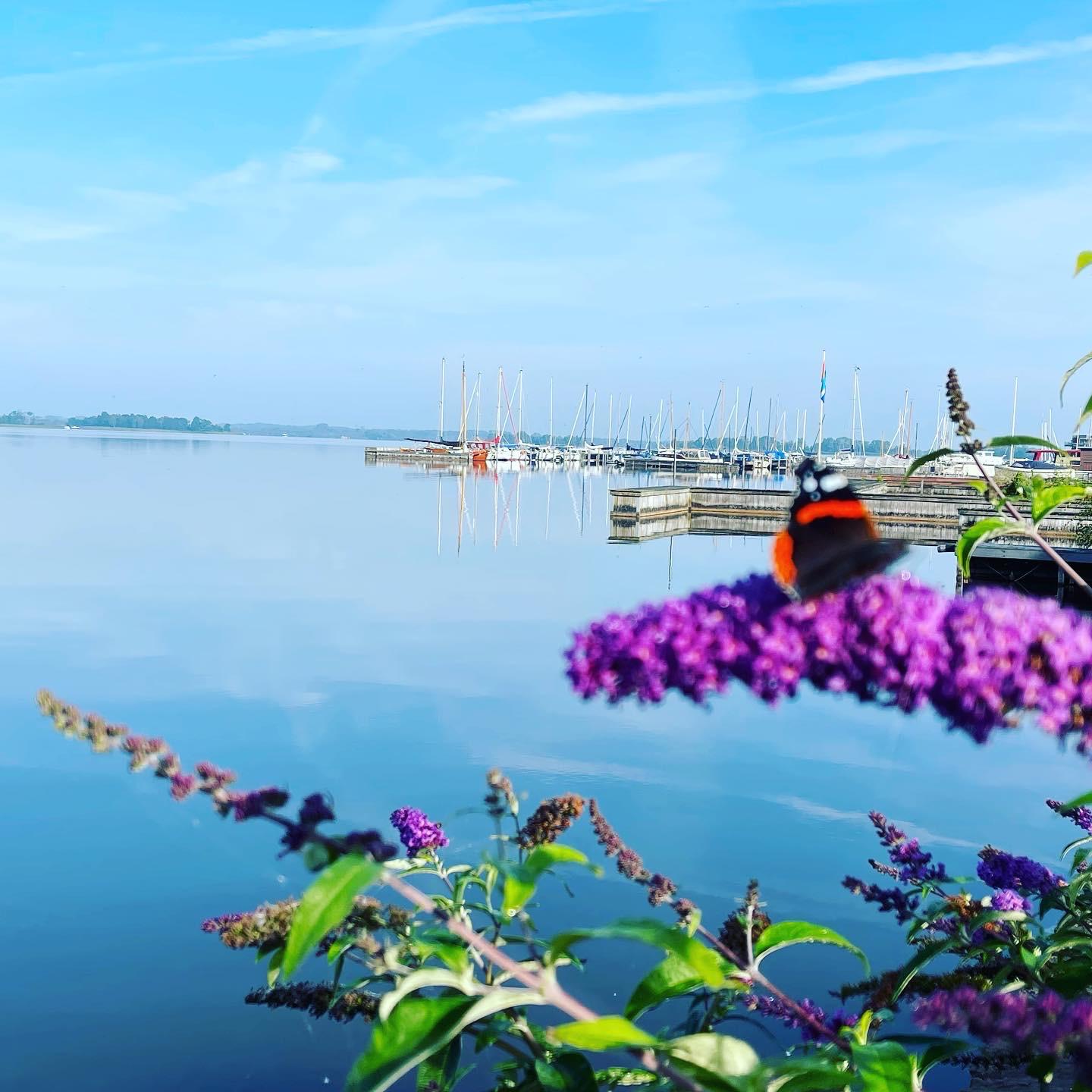 PHOTO-2024-06-09-20-20-55